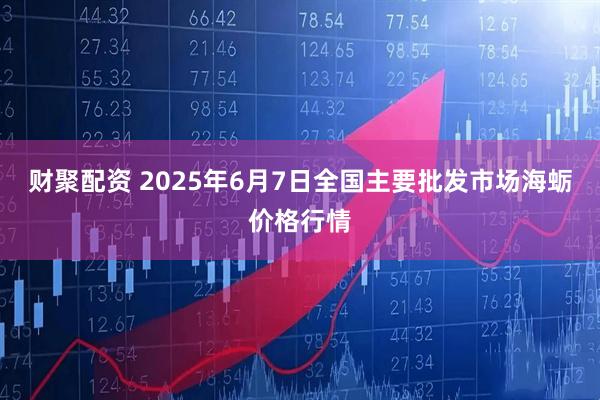 财聚配资 2025年6月7日全国主要批发市场海蛎价格行情