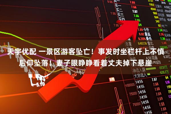 天宇优配 一景区游客坠亡！事发时坐栏杆上不慎后仰坠落！妻子眼睁睁看着丈夫掉下悬崖