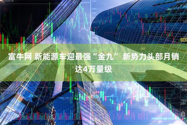 富牛网 新能源车迎最强“金九” 新势力头部月销达4万量级