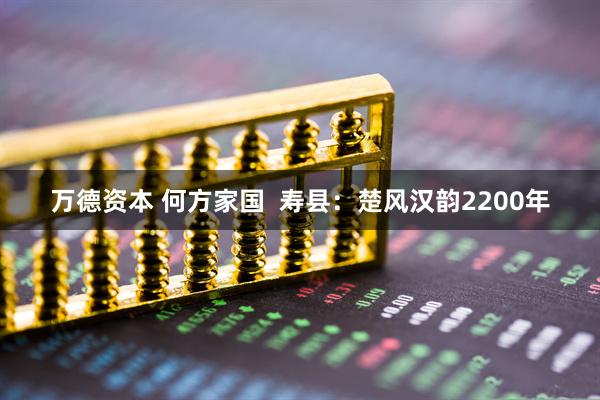 万德资本 何方家国  寿县：楚风汉韵2200年